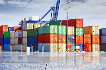 Customs Services
